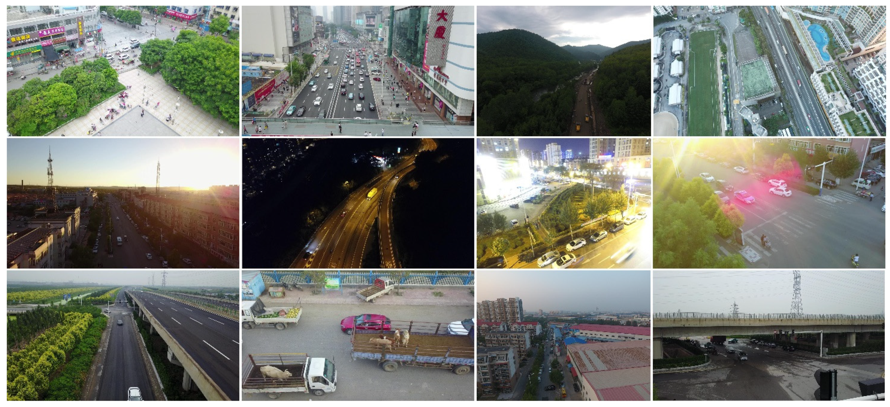 Entropy 23 01358 g005