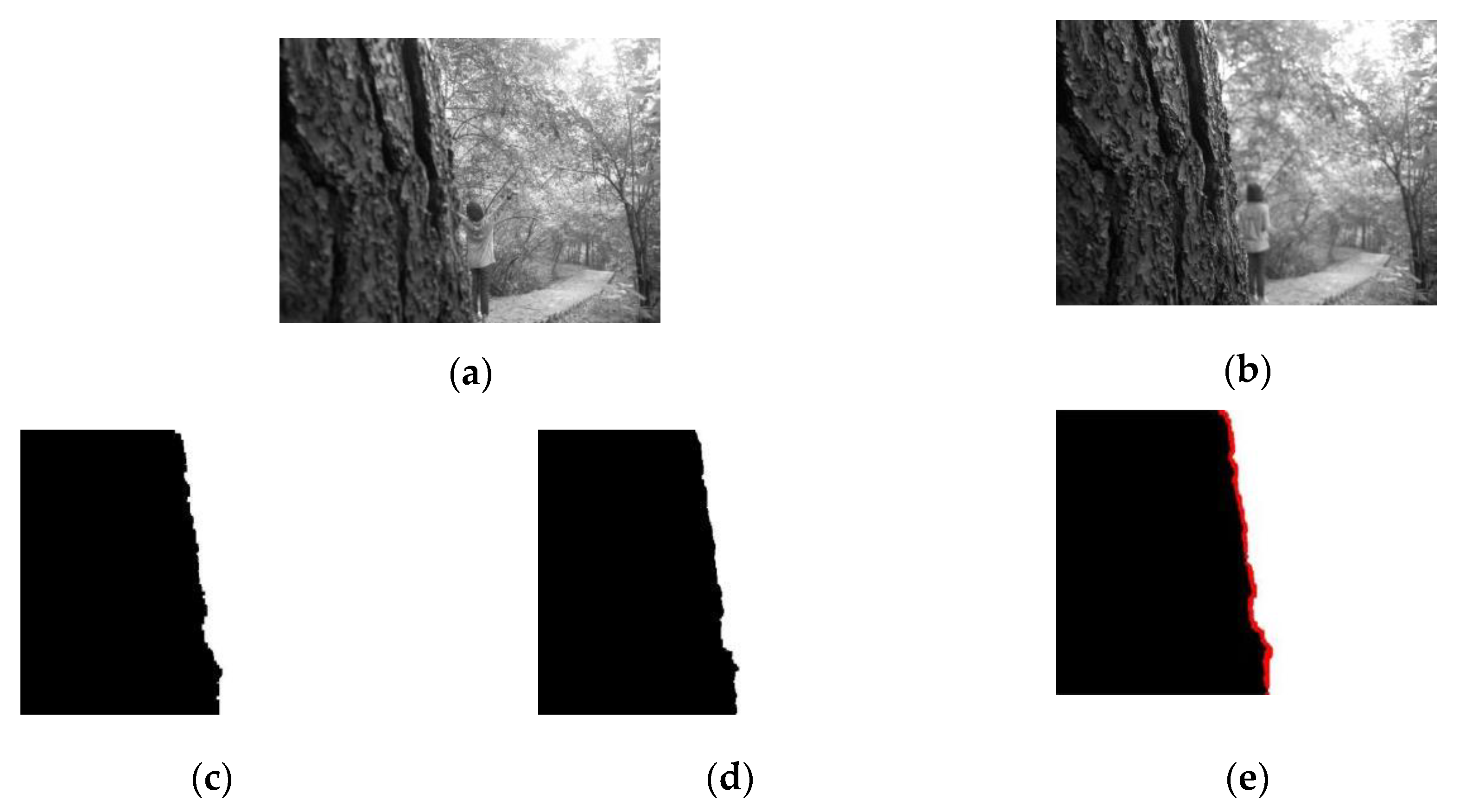 Entropy 23 01362 g002