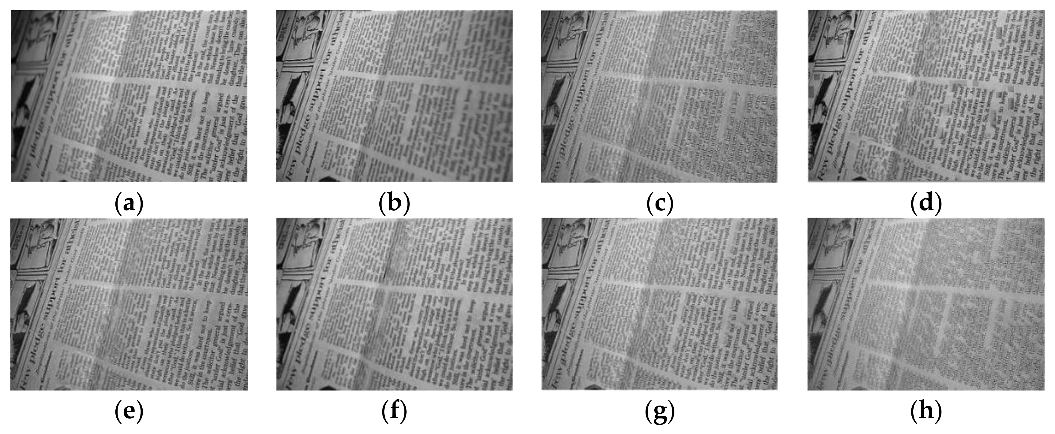 Entropy 23 01362 g008a