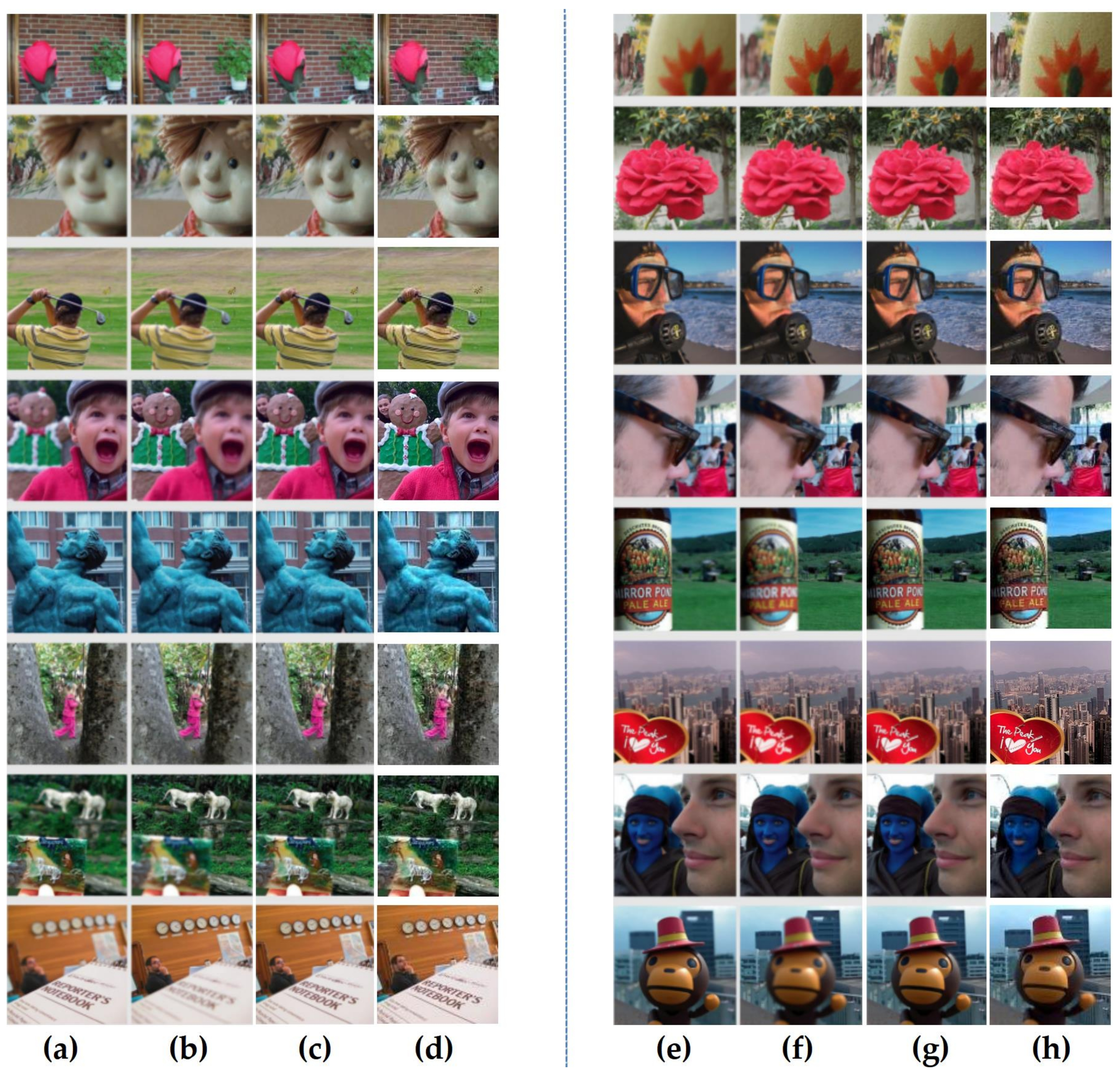 Entropy 23 01362 g017