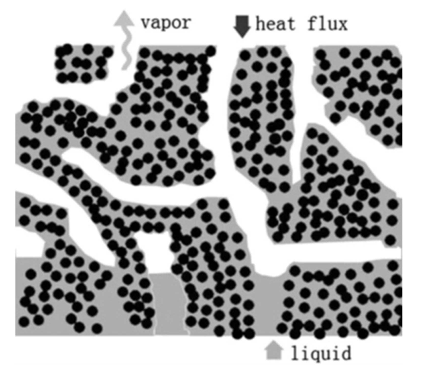 Entropy 23 01374 g002