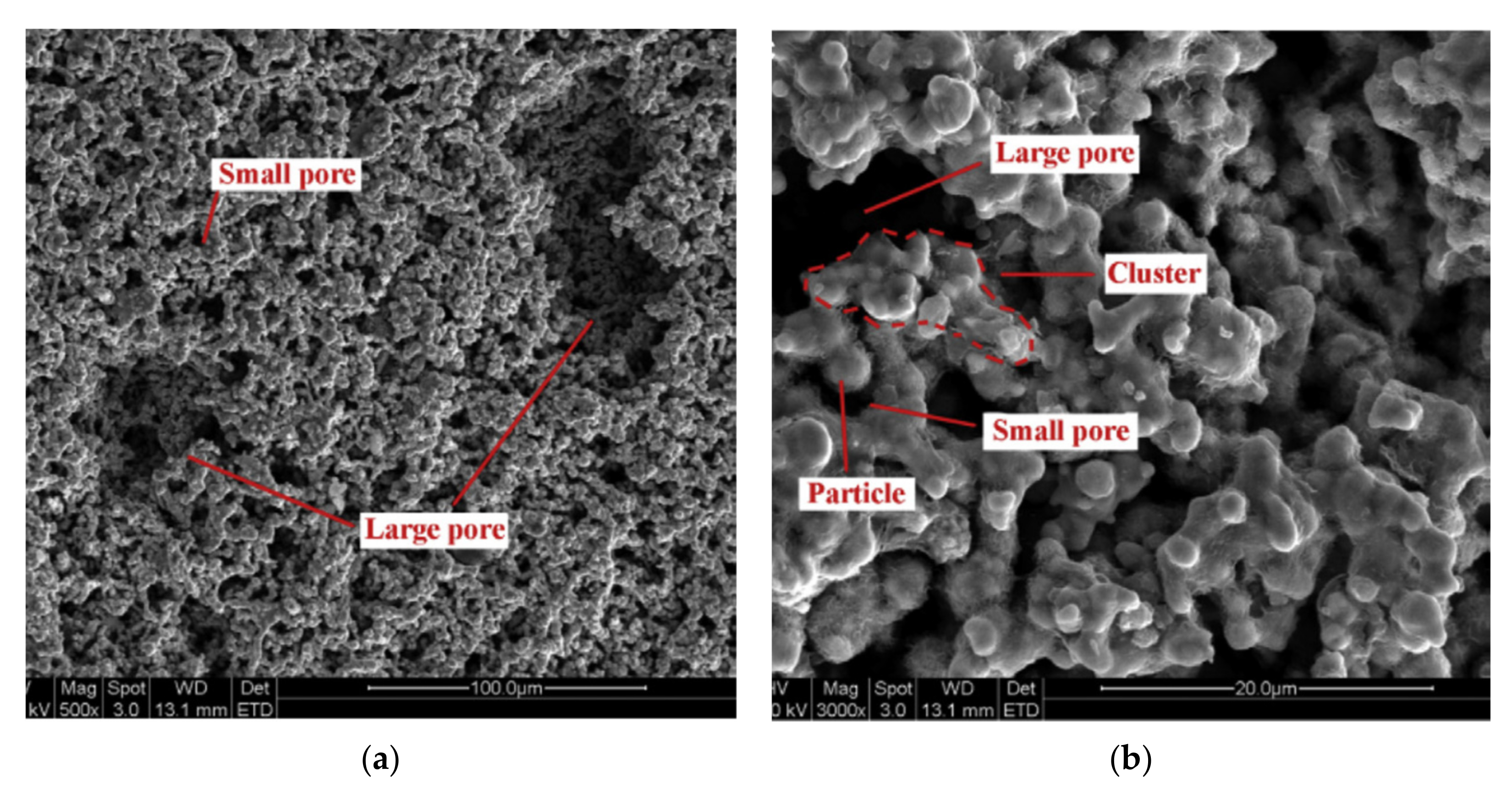 Entropy 23 01374 g003