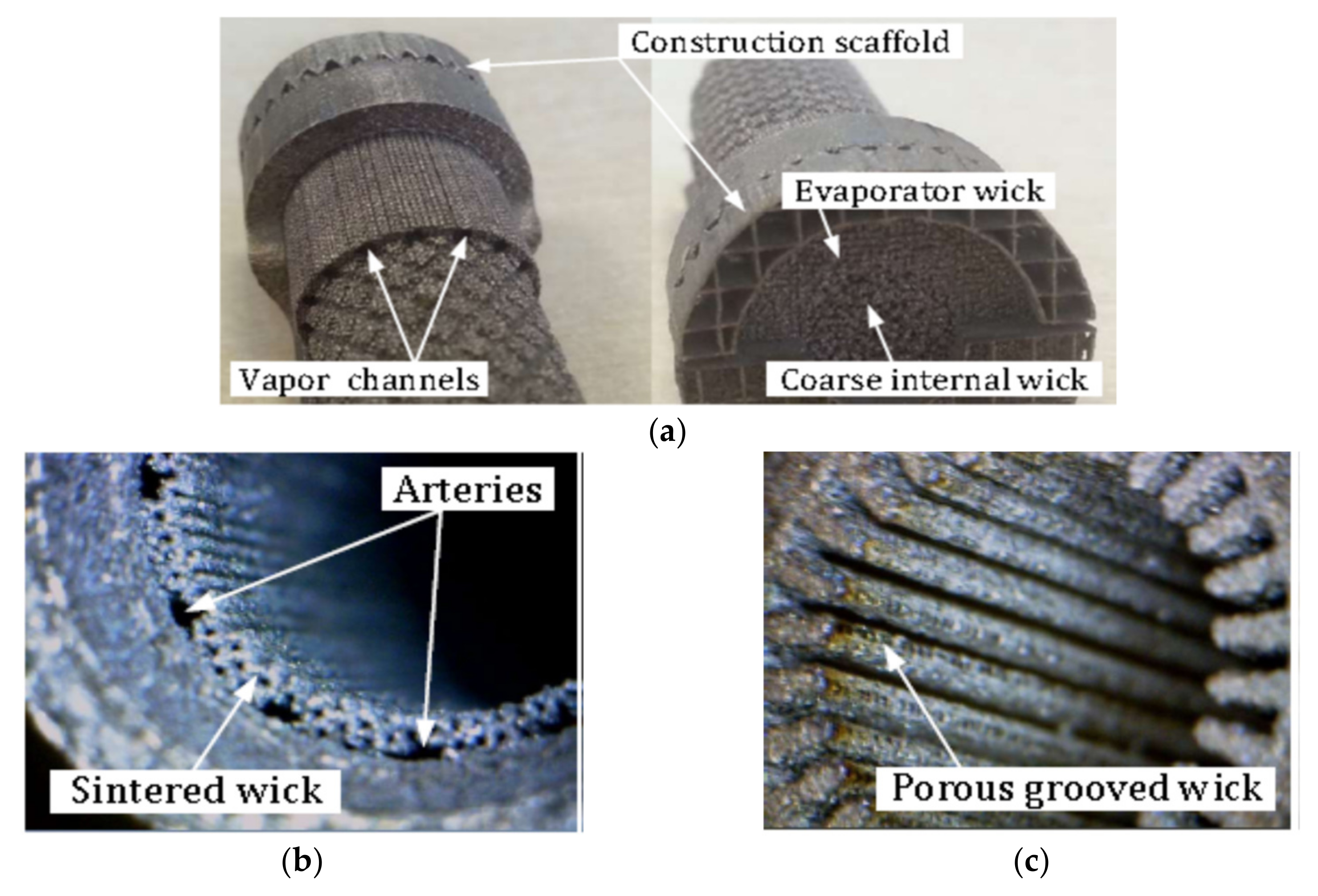 Entropy 23 01374 g007