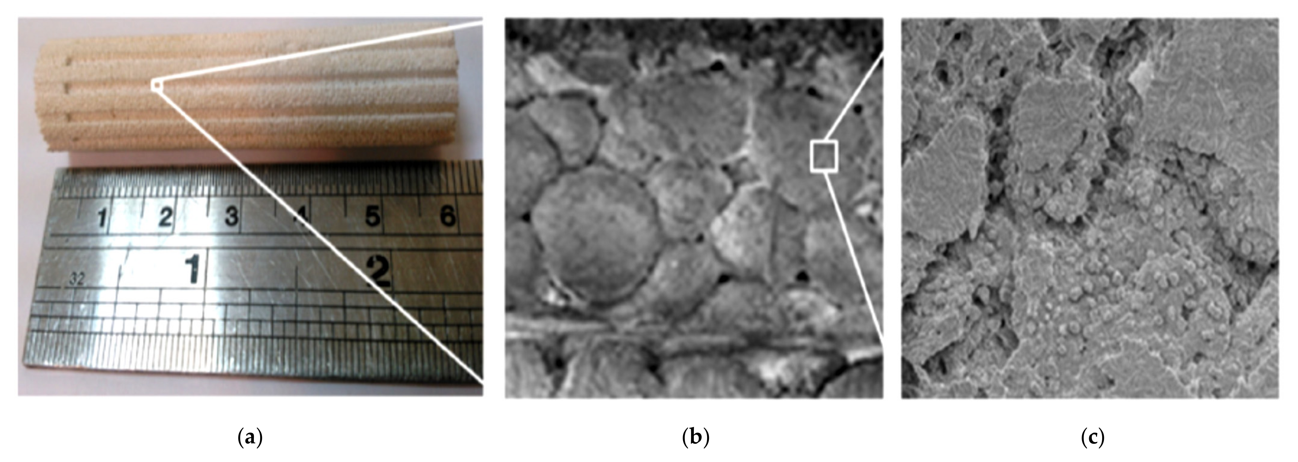 Entropy 23 01374 g009