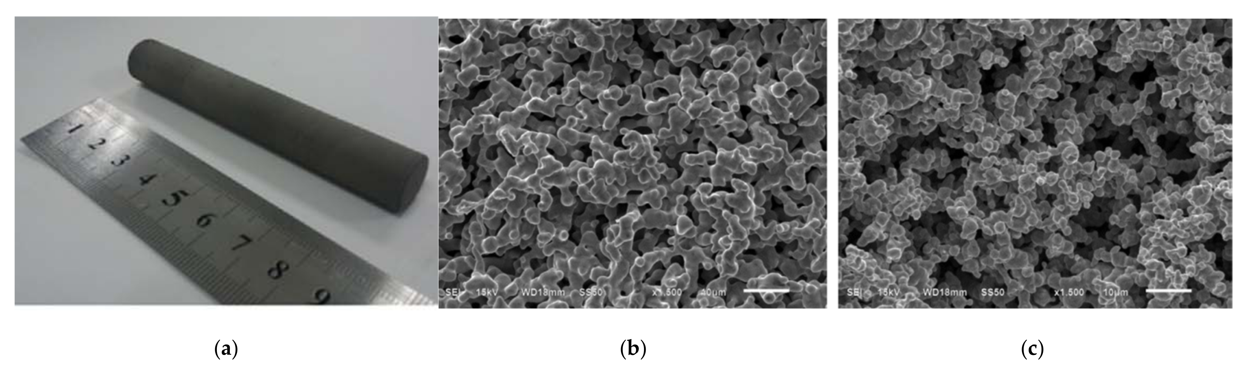 Entropy 23 01374 g010