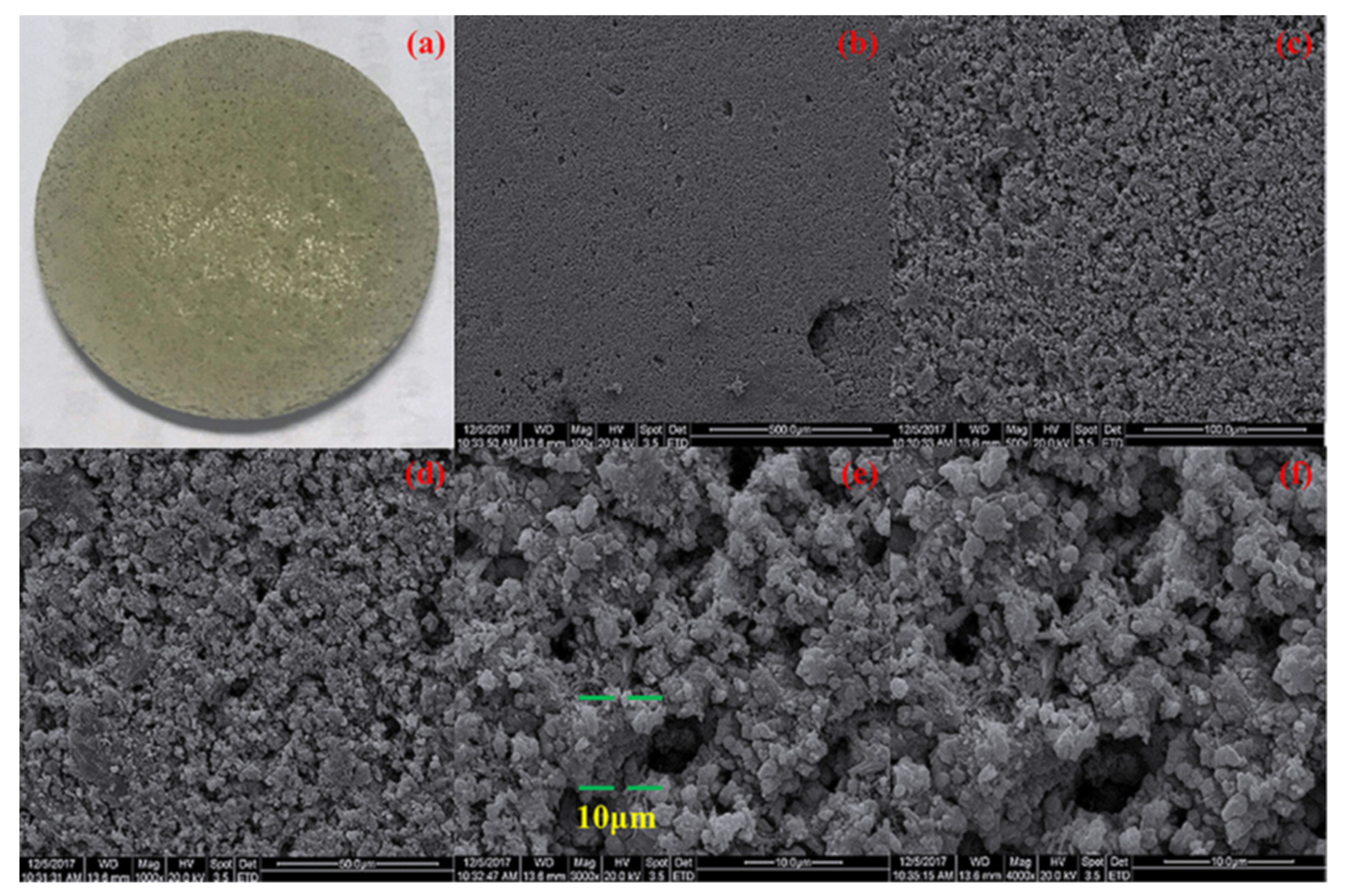 Entropy 23 01374 g011