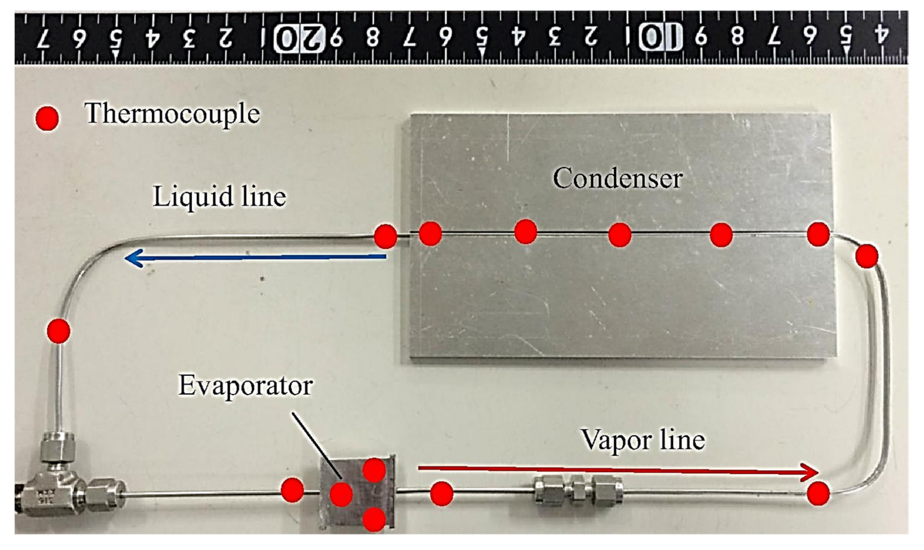 Entropy 23 01374 g019