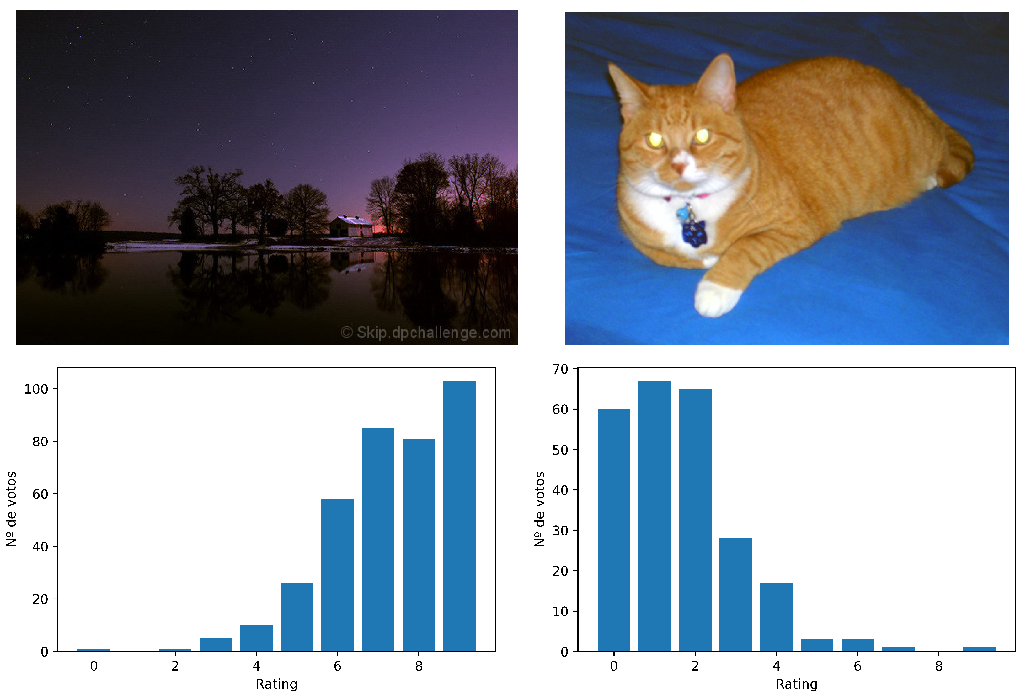 Entropy 23 01389 g001