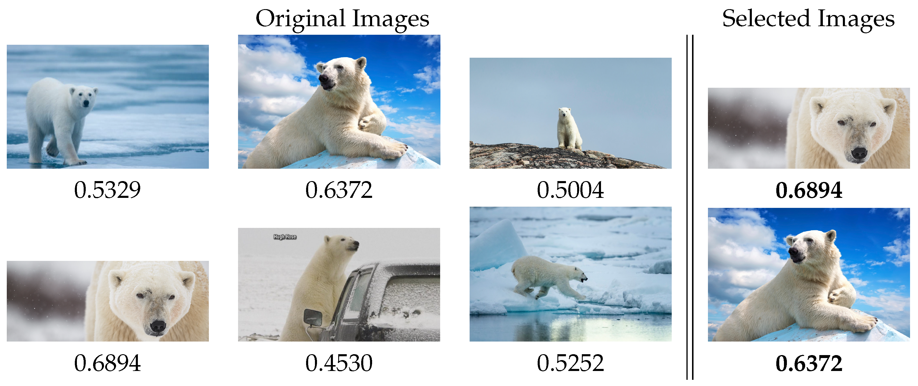 Entropy 23 01389 g009