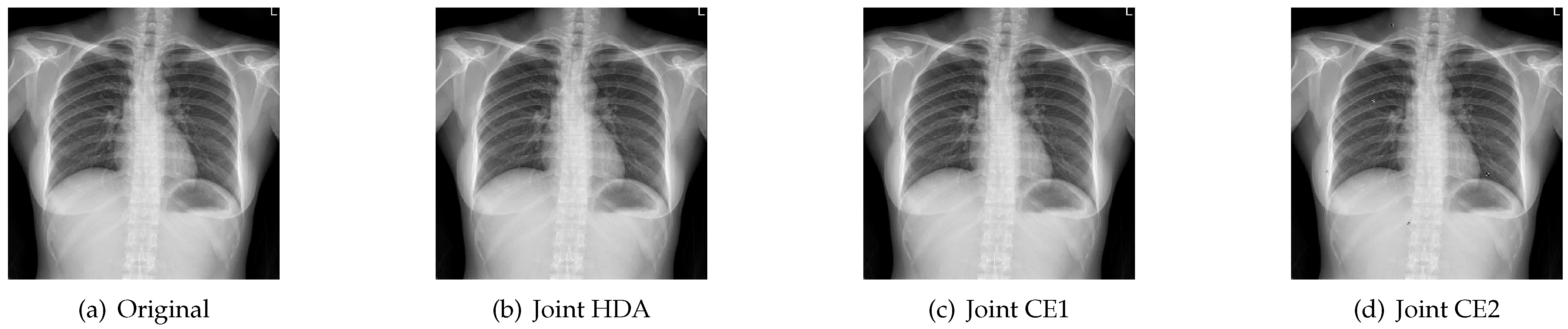 Entropy 23 01392 g011