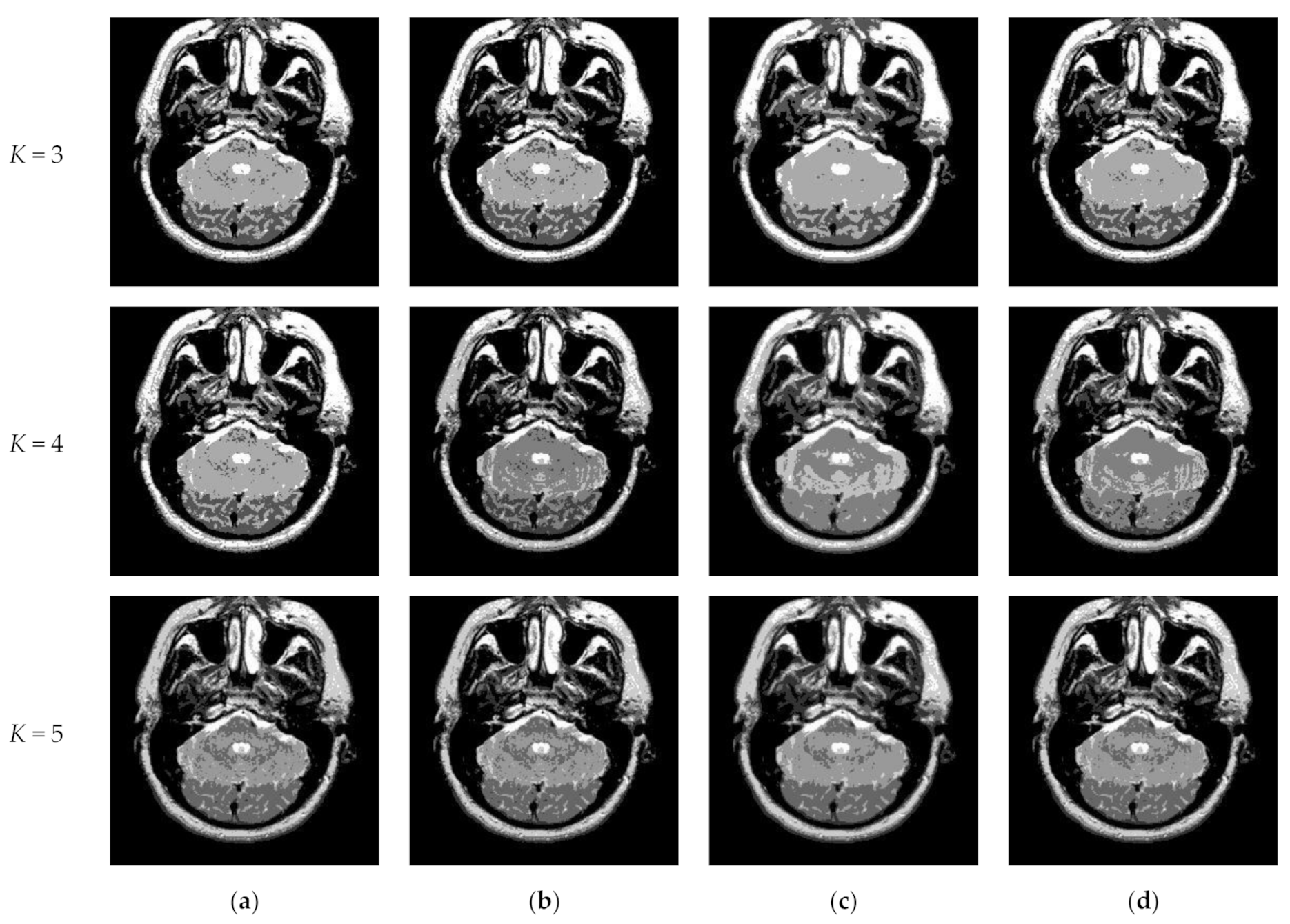 Entropy 23 01429 g010b