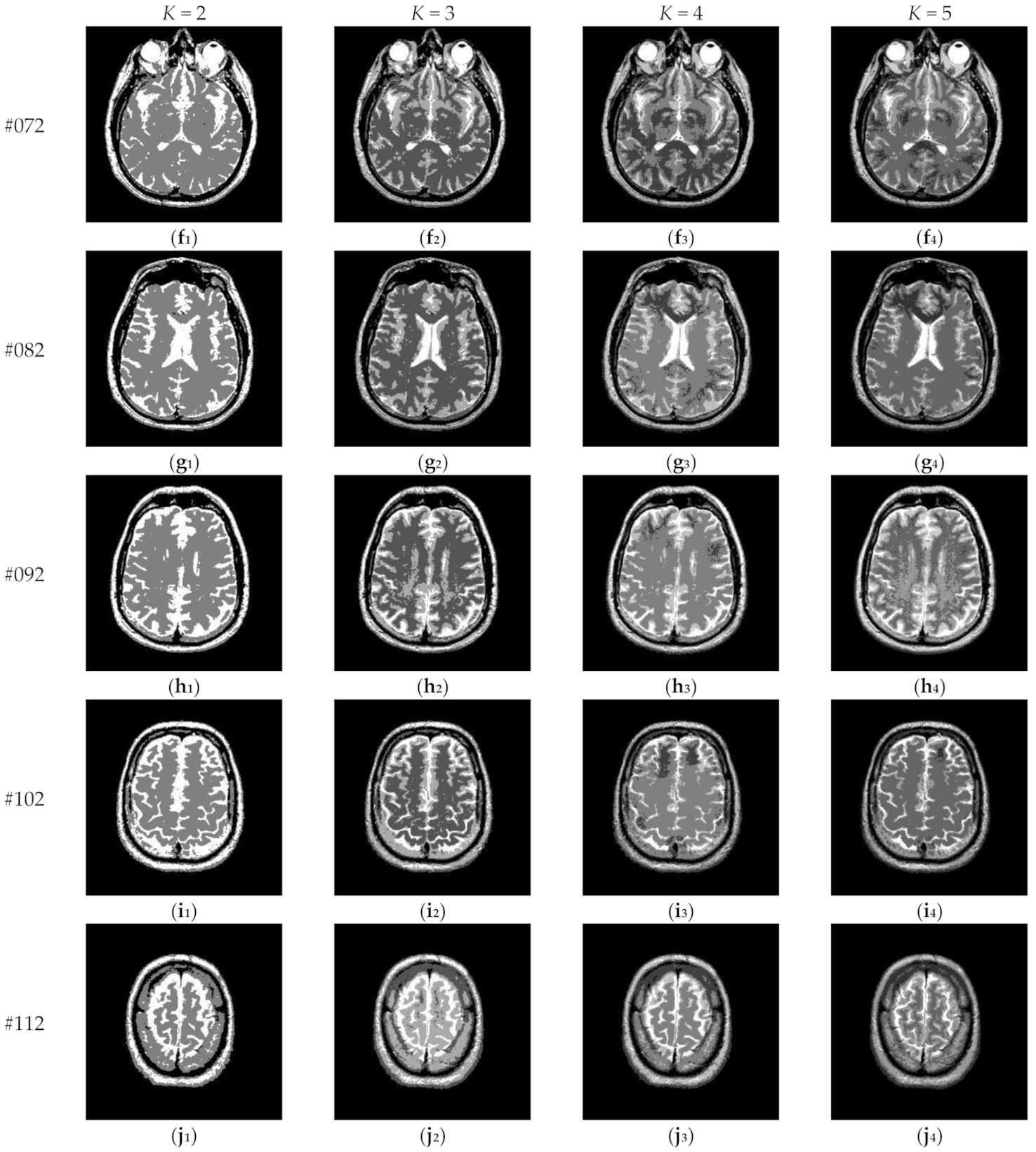 Entropy 23 01429 g017b
