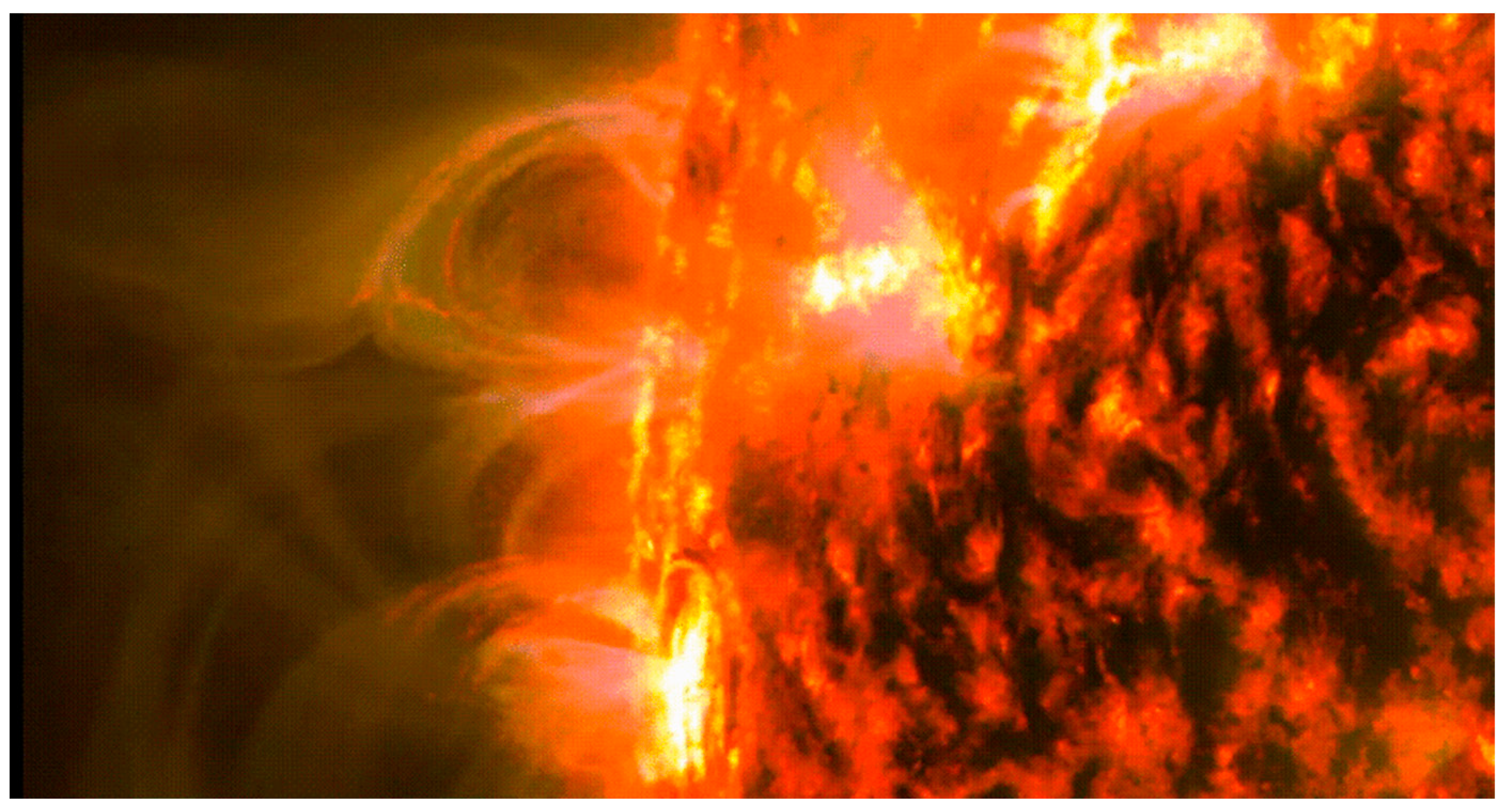 Entropy 23 01443 g002