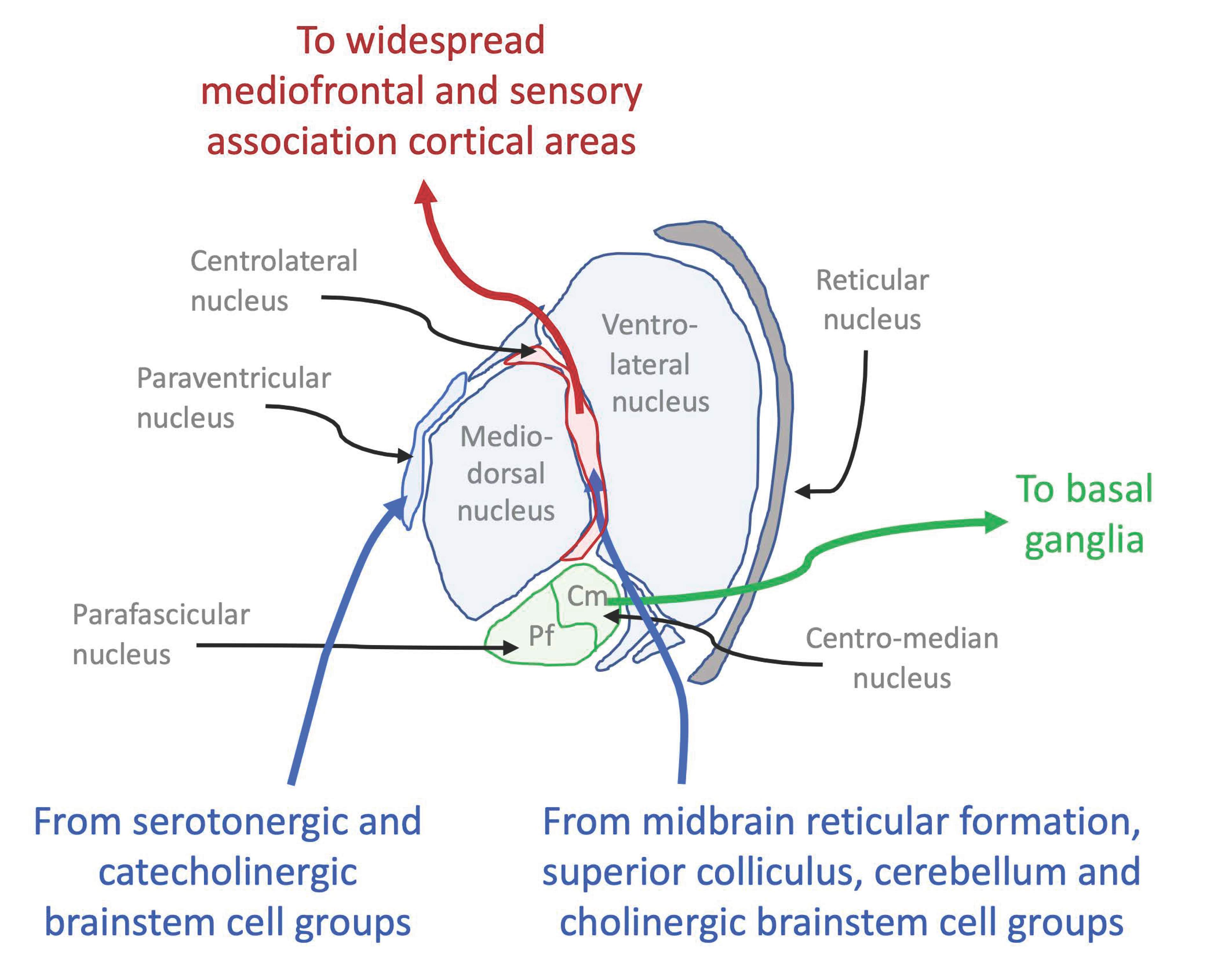 Entropy 23 01443 g006