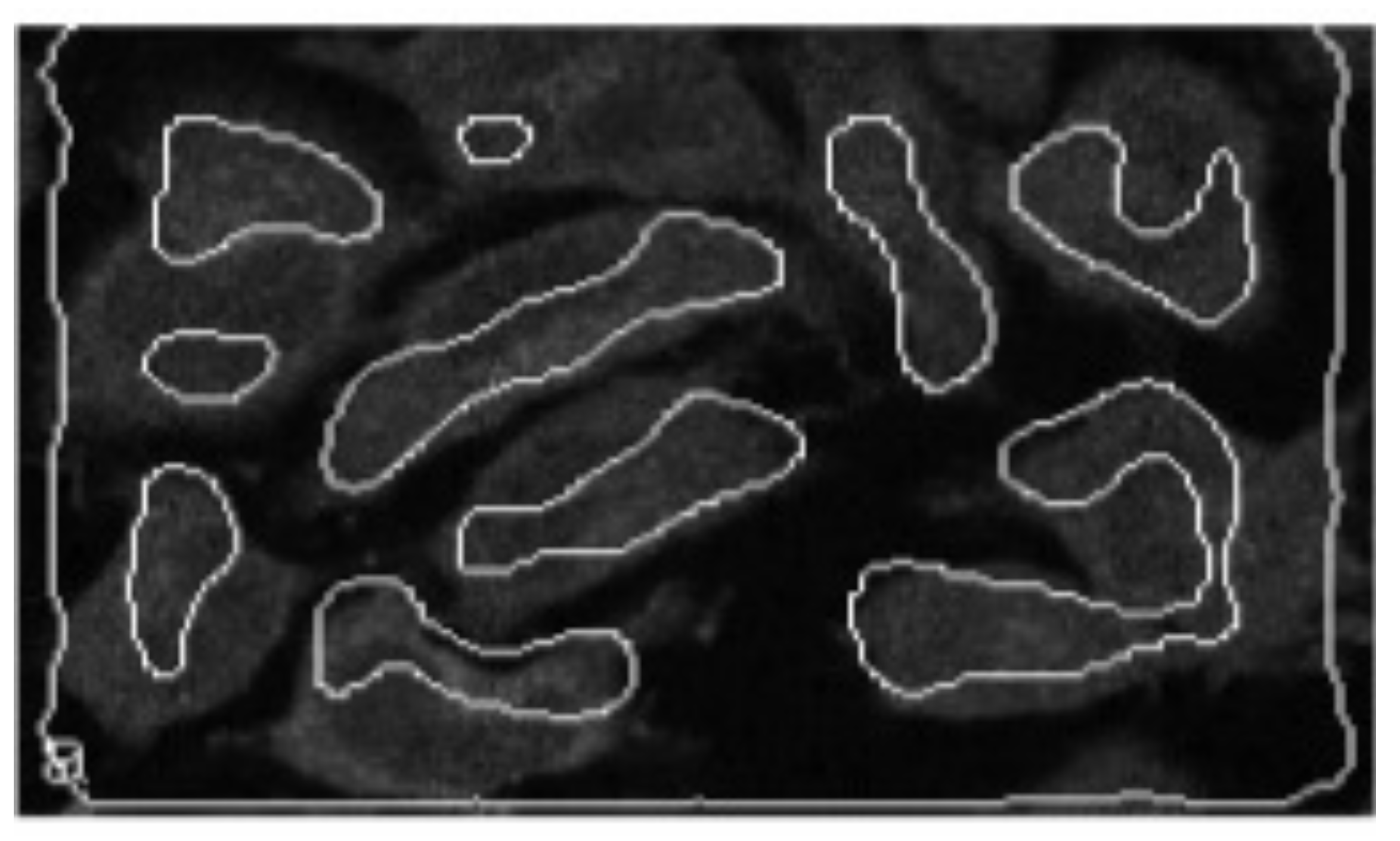 Entropy 23 01458 g003