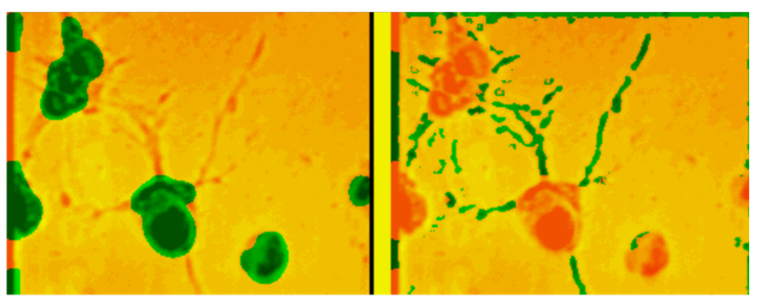 Entropy 23 01458 g004