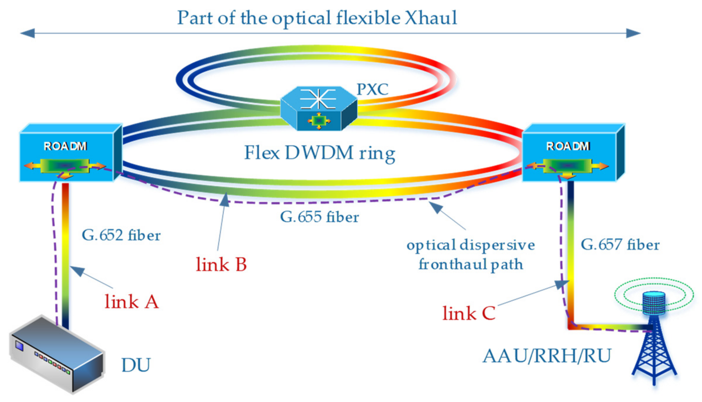 Entropy 23 01554 g004