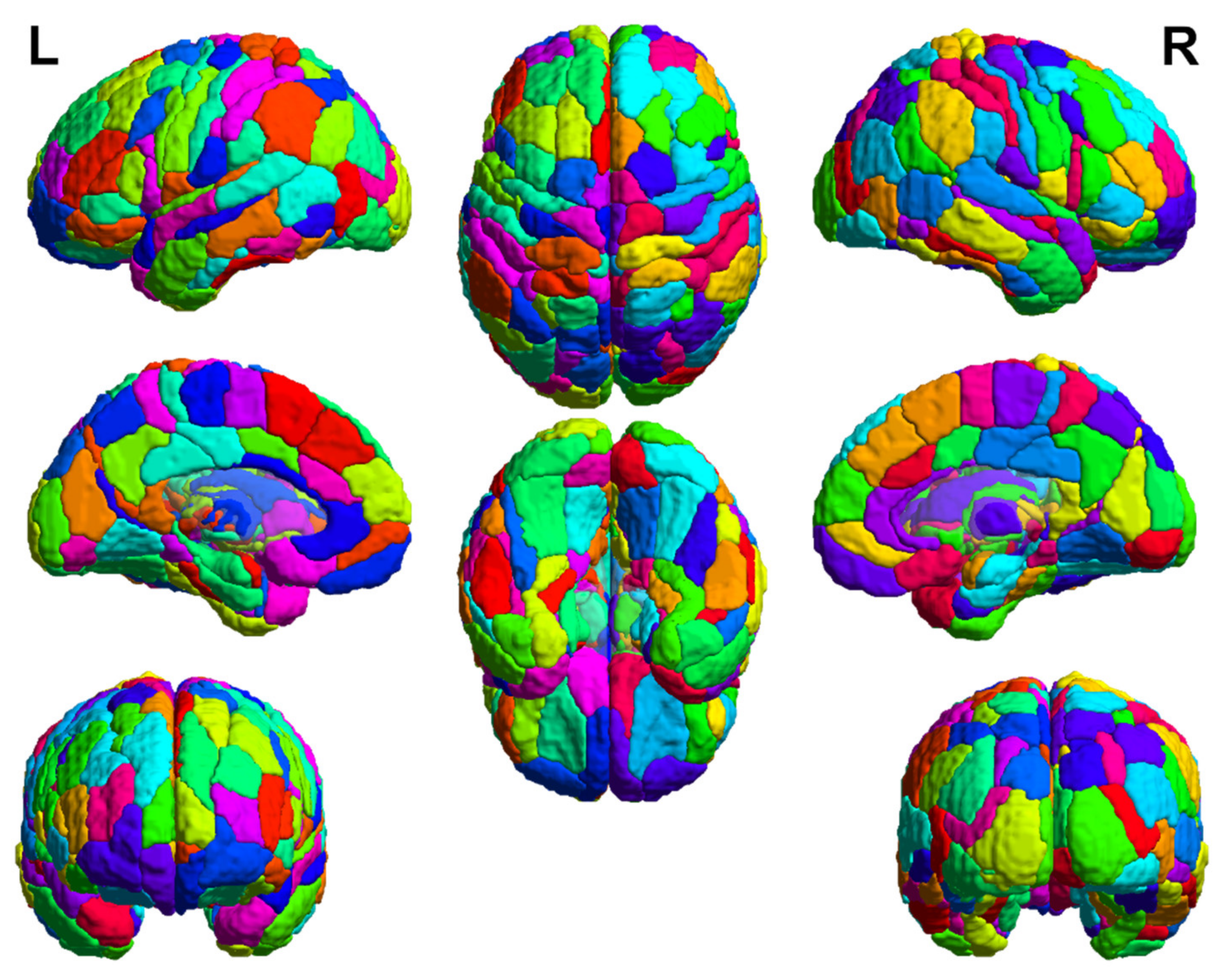 Entropy 23 01591 g001