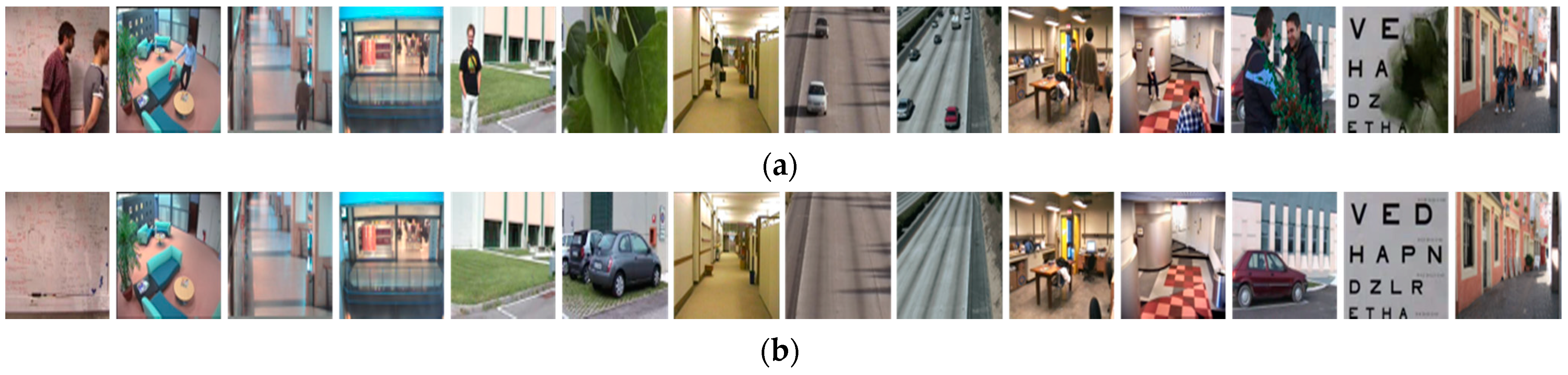 Entropy 23 01644 g005