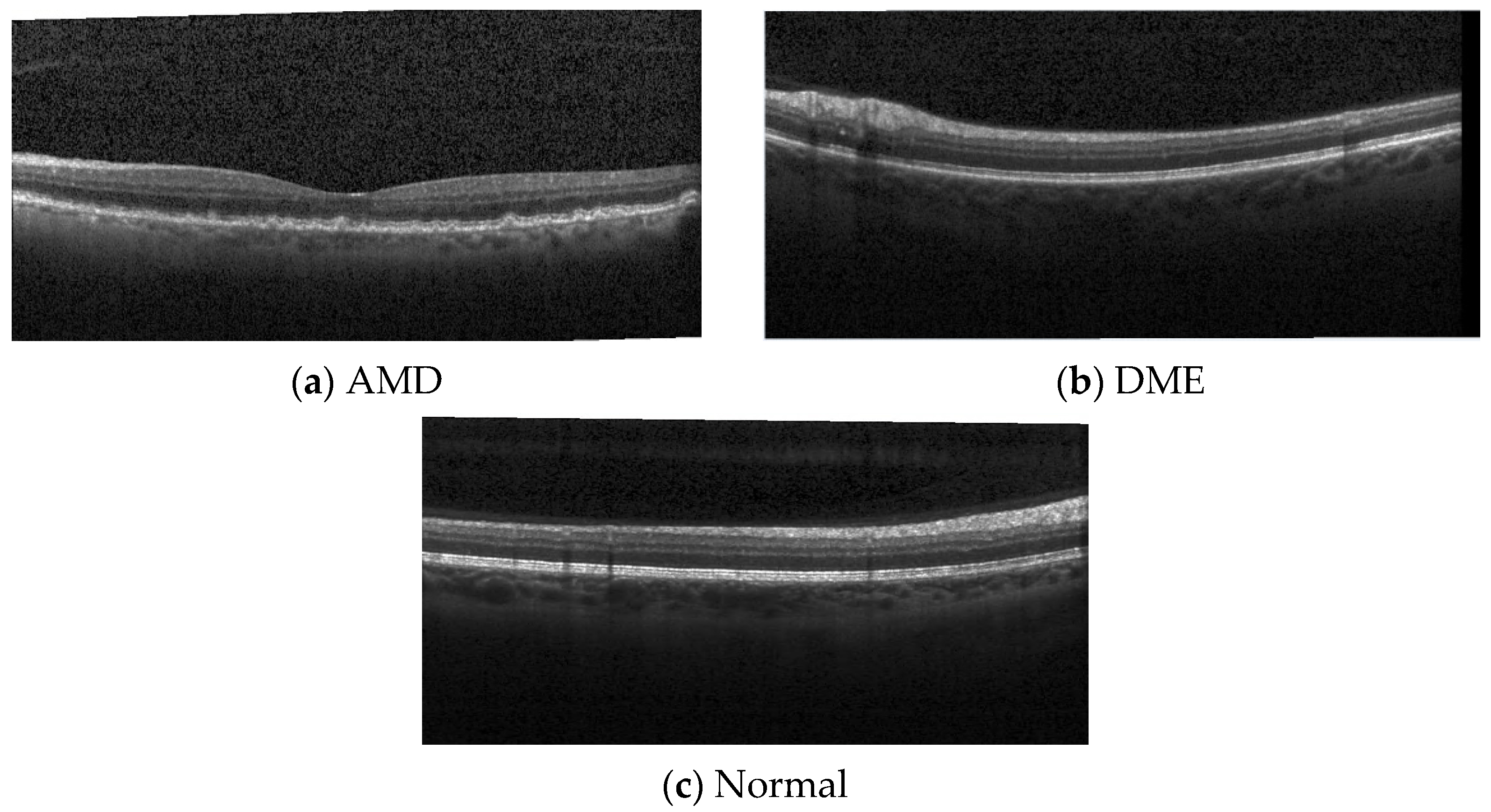 Entropy 23 01651 g002