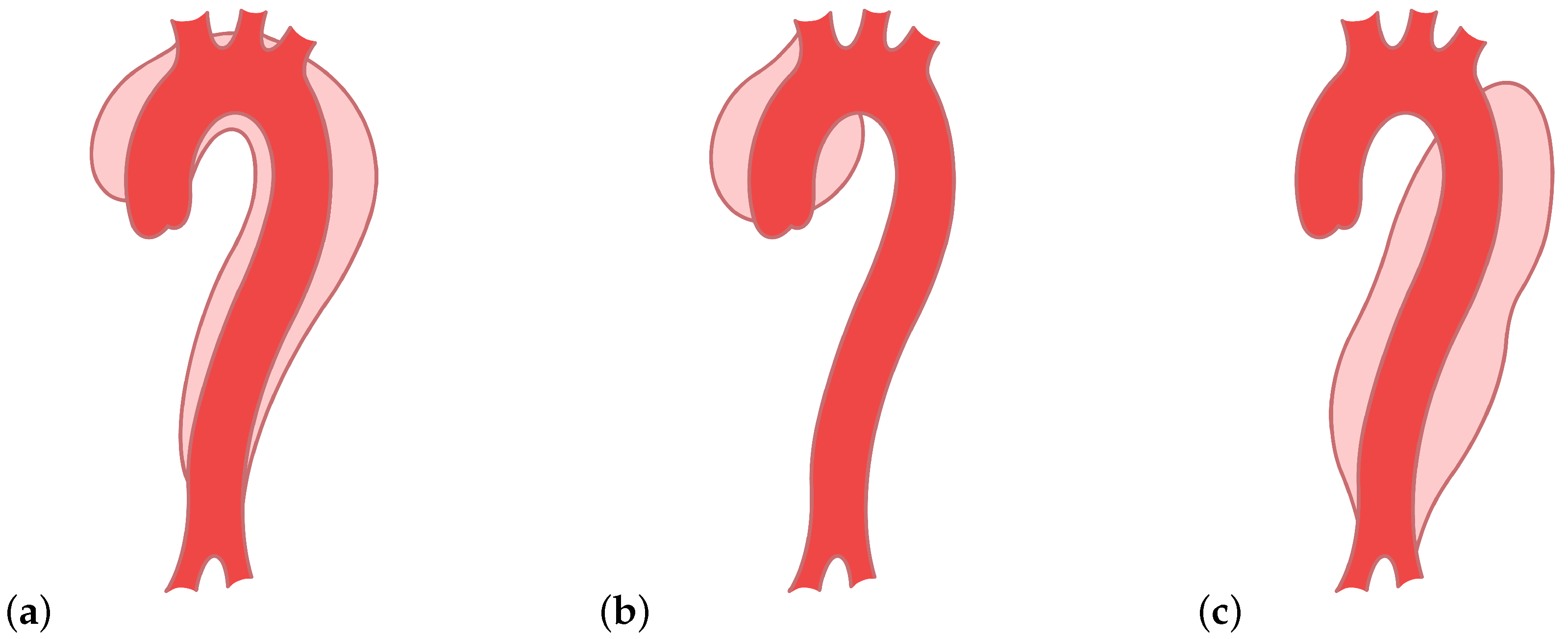 Entropy 23 01661 g002