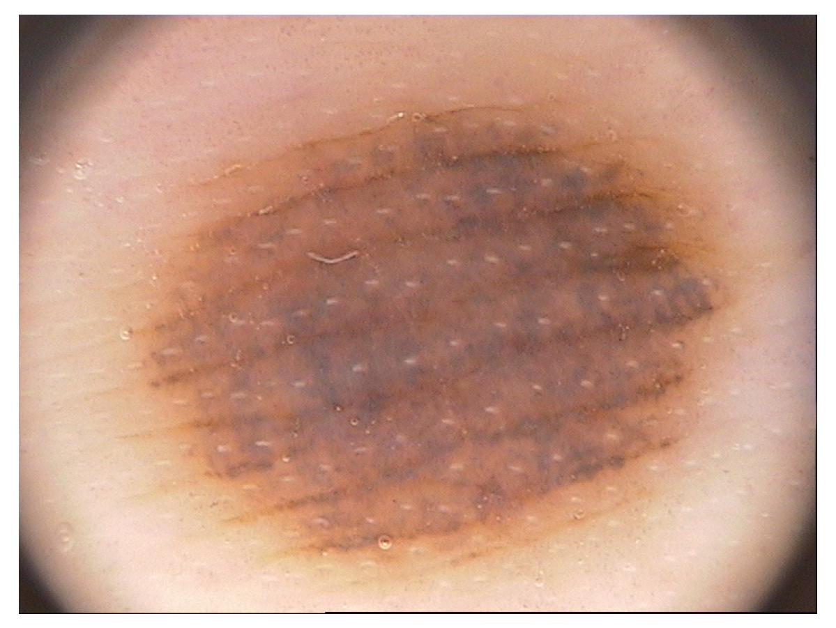 Entropy 23 01680 g009