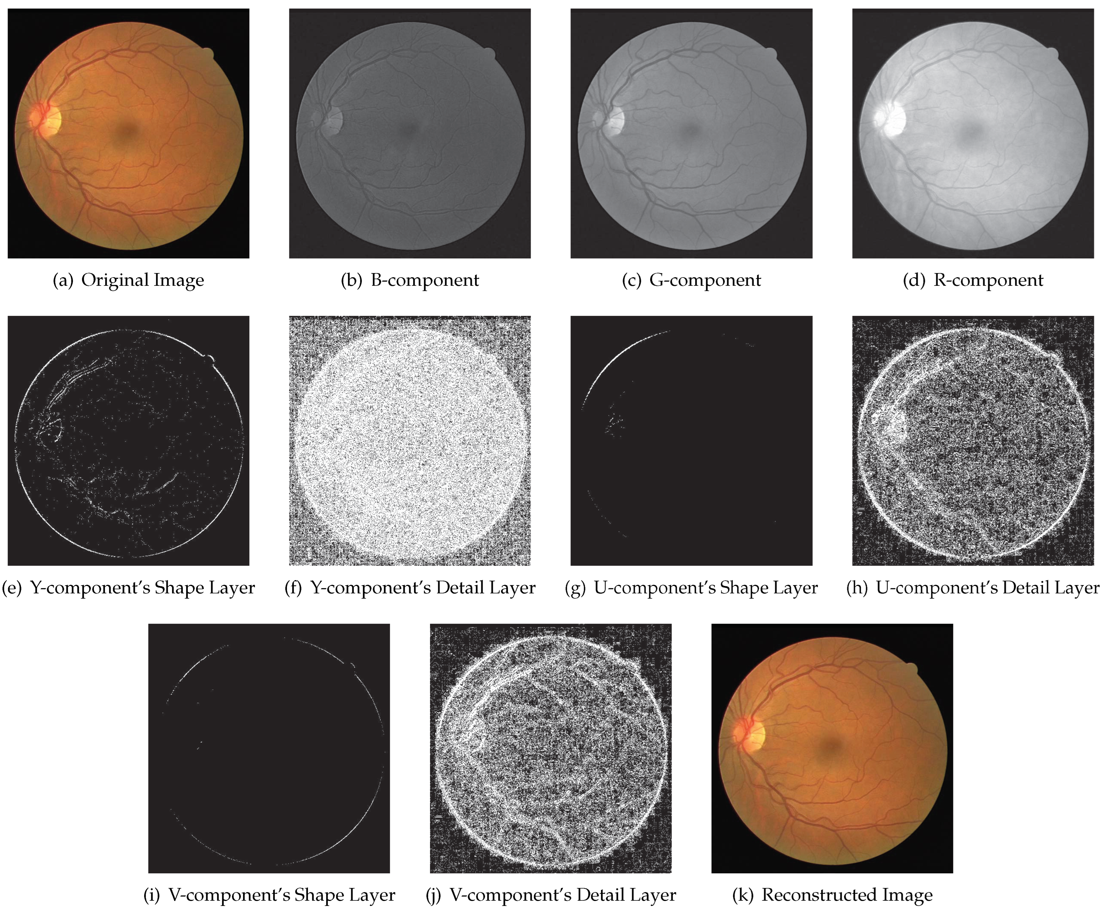 Entropy 23 01680 g010