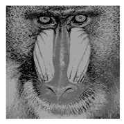 Entropy 23 01700 i009