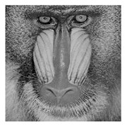 Entropy 23 01700 i012