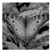 Entropy 23 01700 i017