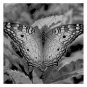 Entropy 23 01700 i018