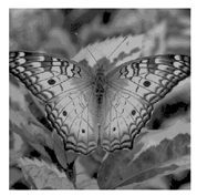 Entropy 23 01700 i019