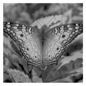 Entropy 23 01700 i020