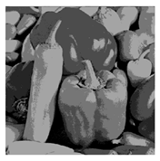 Entropy 23 01700 i025