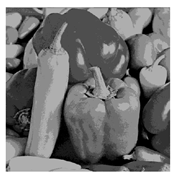 Entropy 23 01700 i026