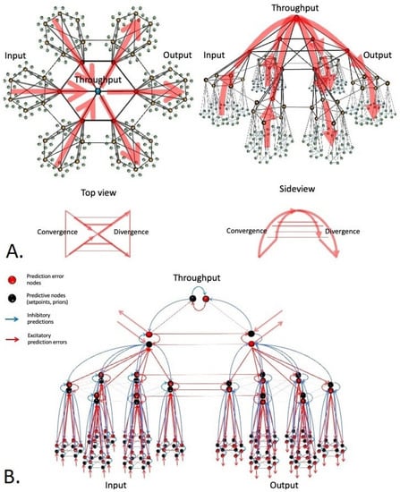 Entropy 23 01701 g005