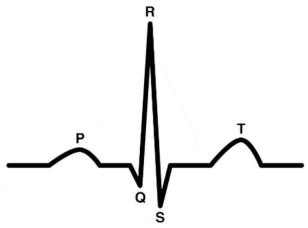 Entropy 24 00055 g019