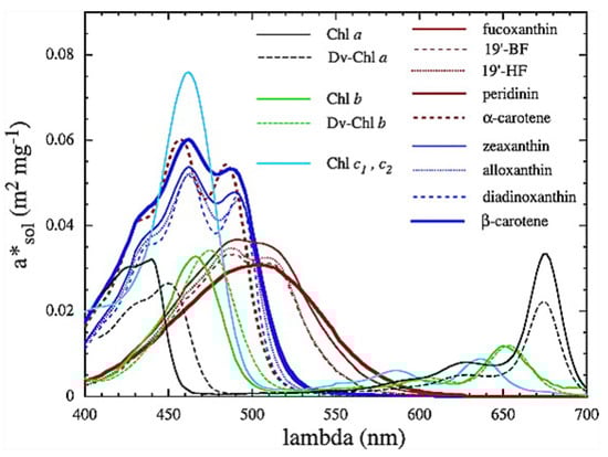 Entropy 24 00076 g004 550