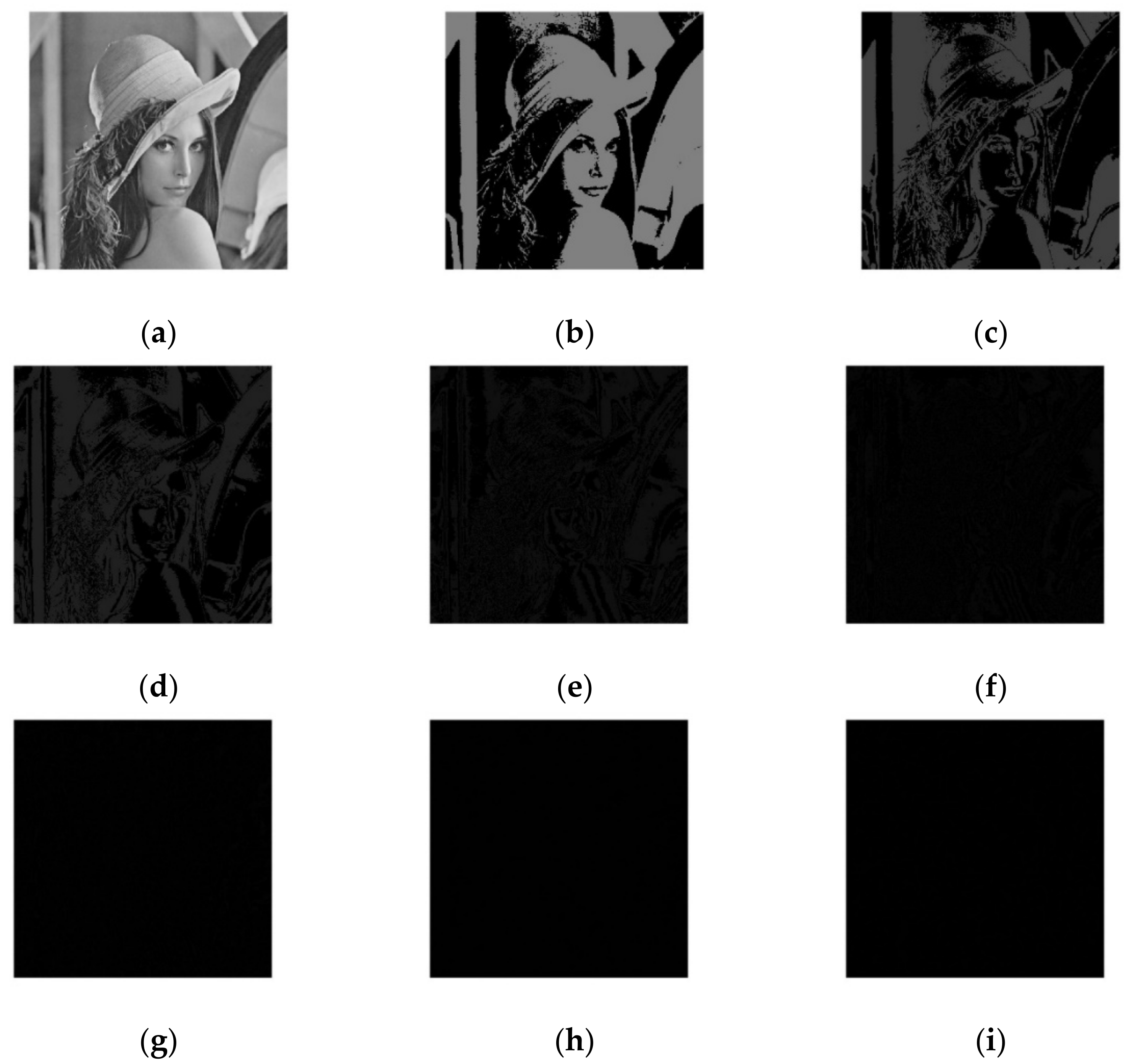 Entropy 24 00186 g001