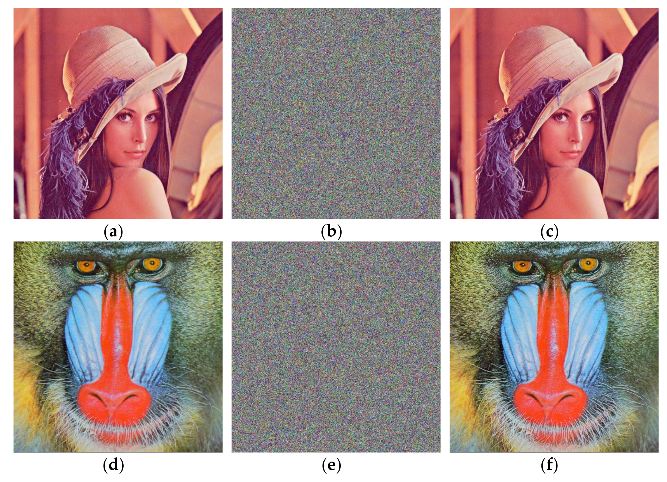 Entropy 24 00186 g006a