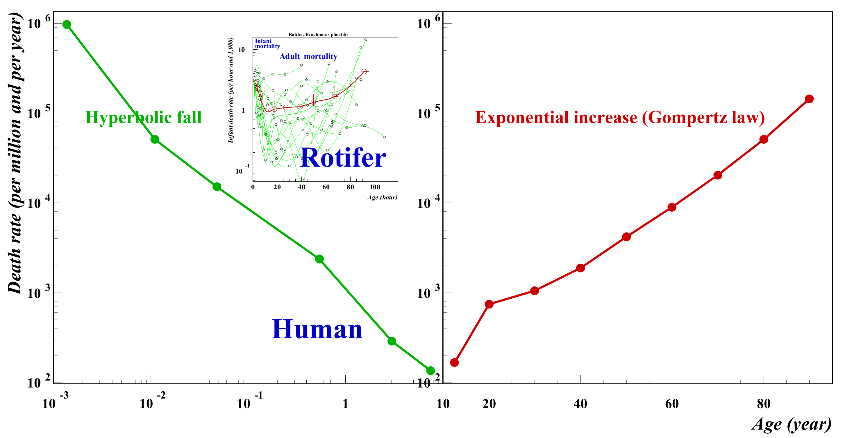 Entropy 24 00208 g001