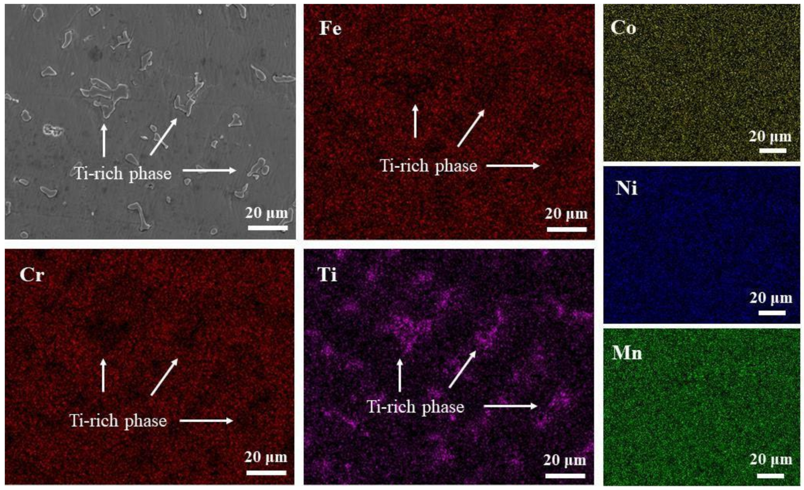Entropy 24 00241 g002