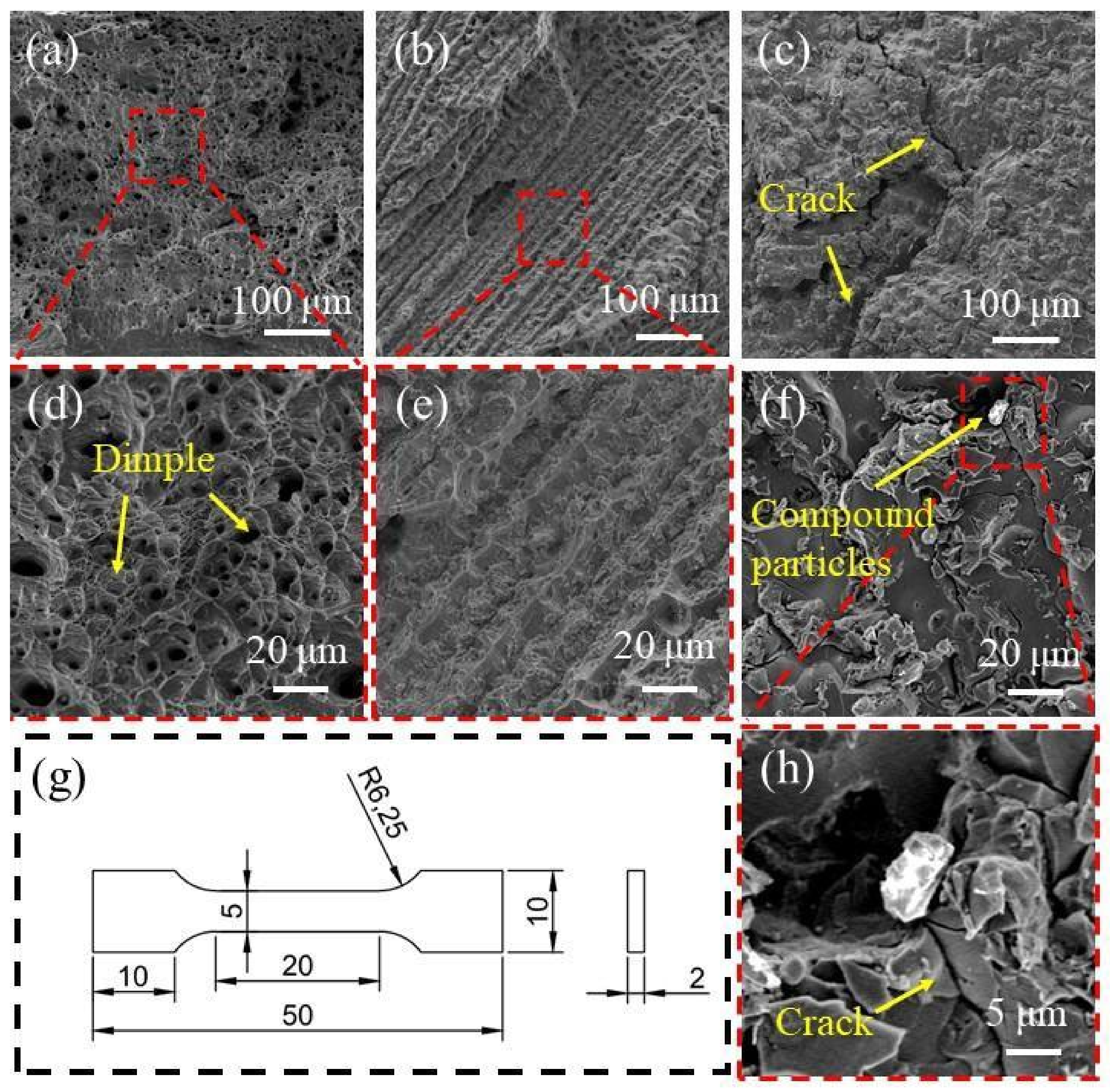 Entropy 24 00241 g009