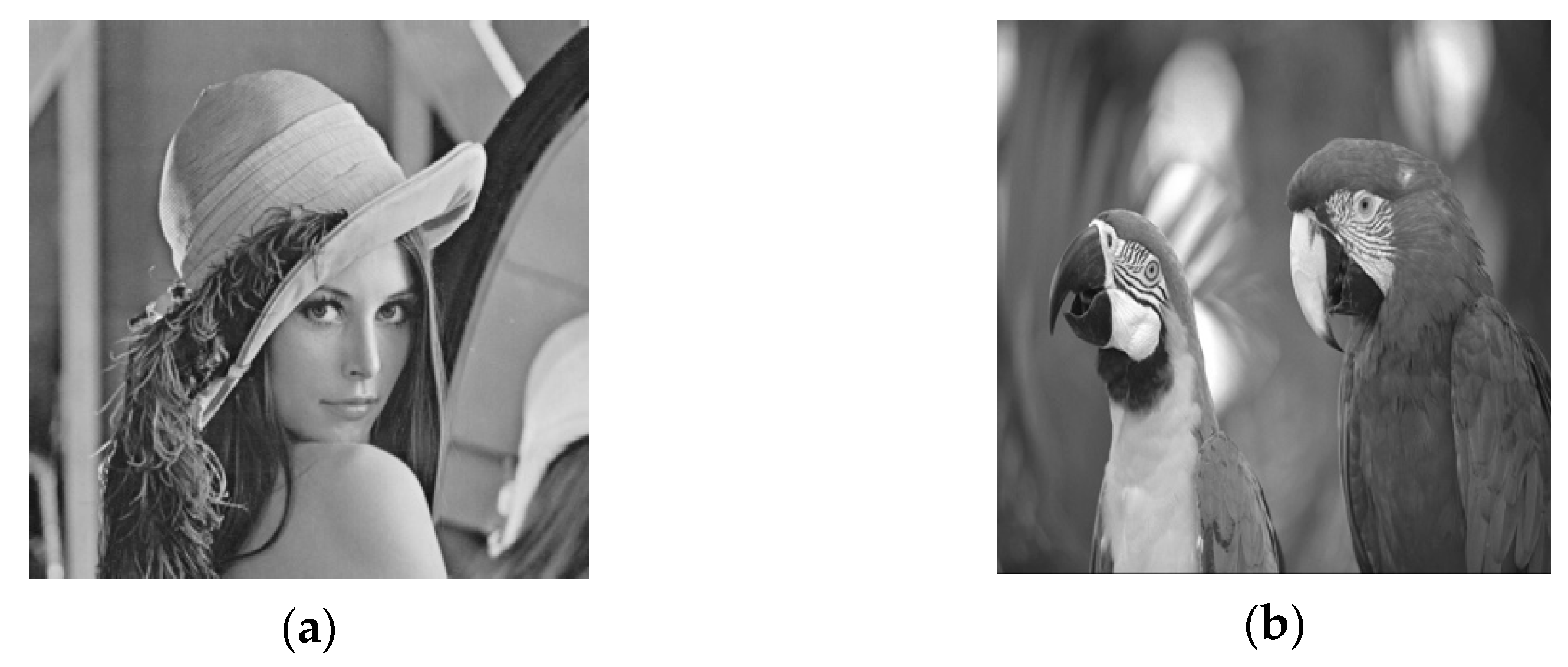 Entropy 24 00246 g007