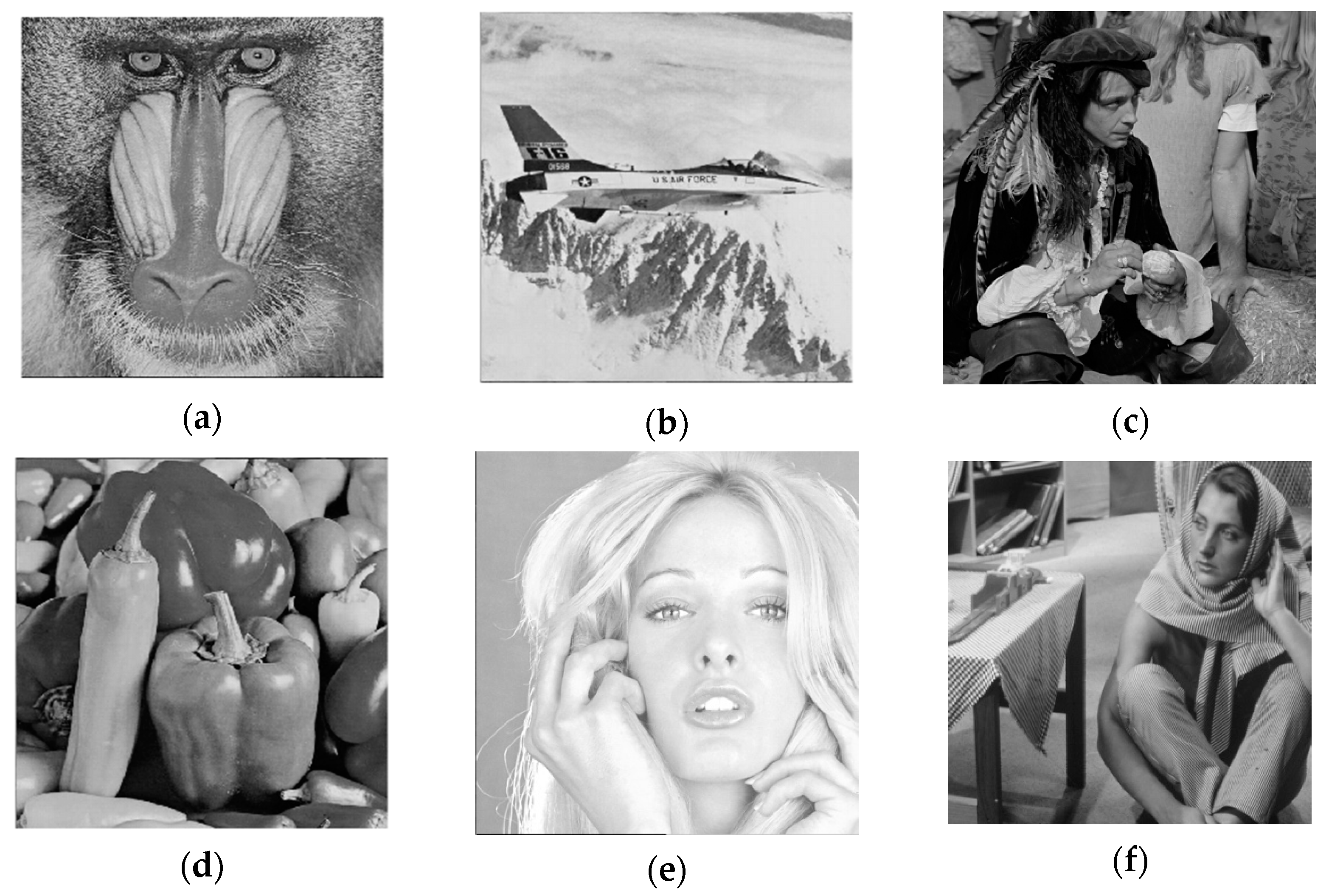 Entropy 24 00246 g011