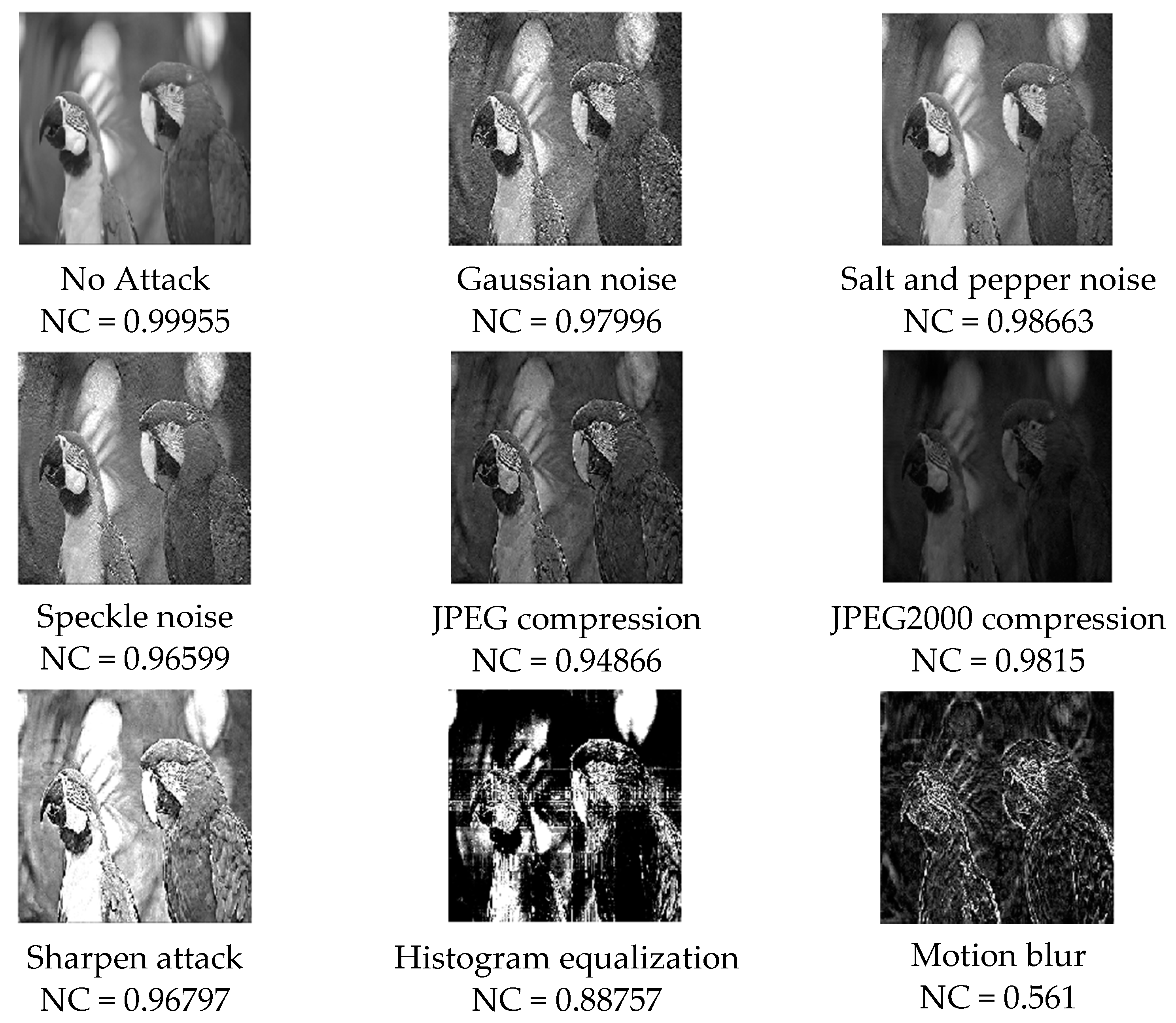 Entropy 24 00246 g012