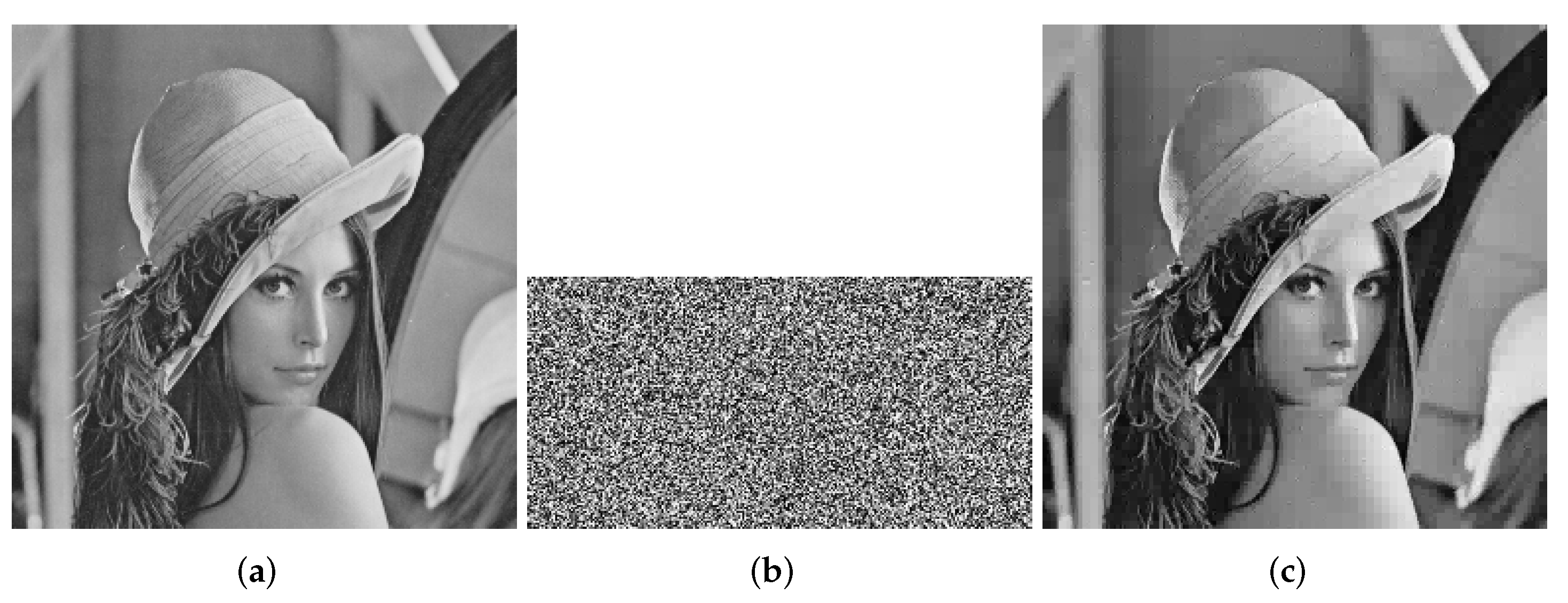 Entropy 24 00251 g002