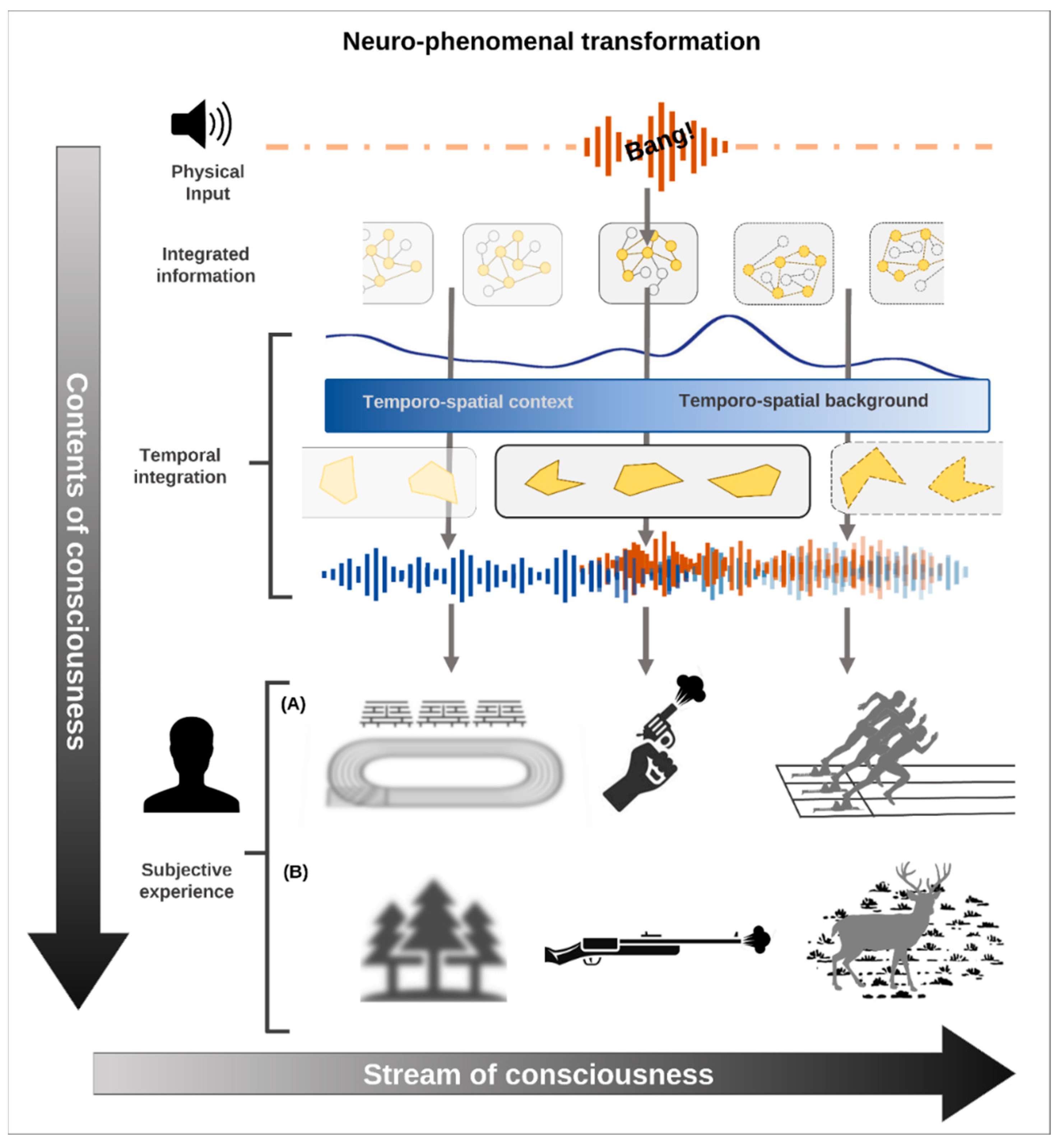 Entropy 24 00270 g003