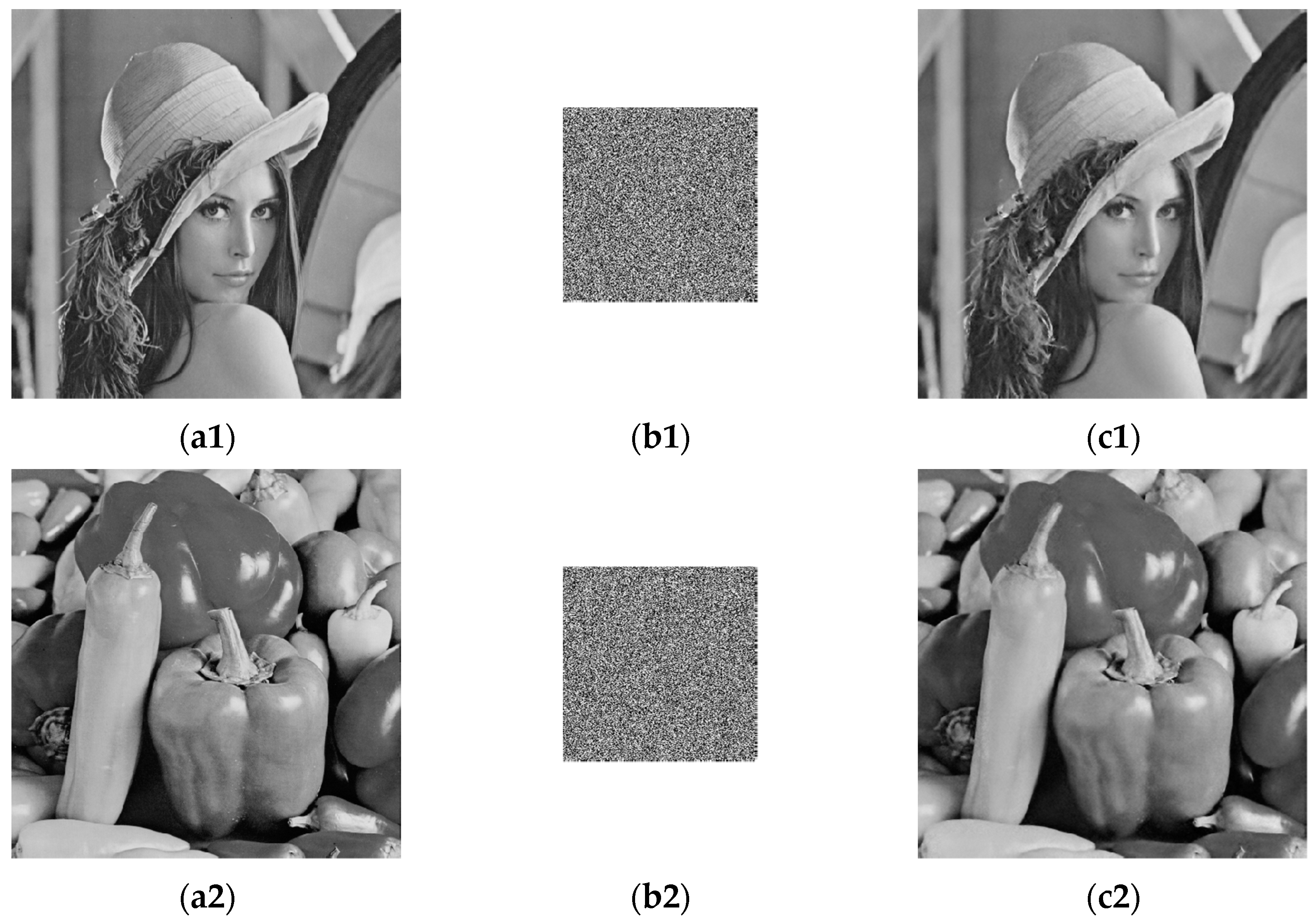 Entropy 24 00273 g005a