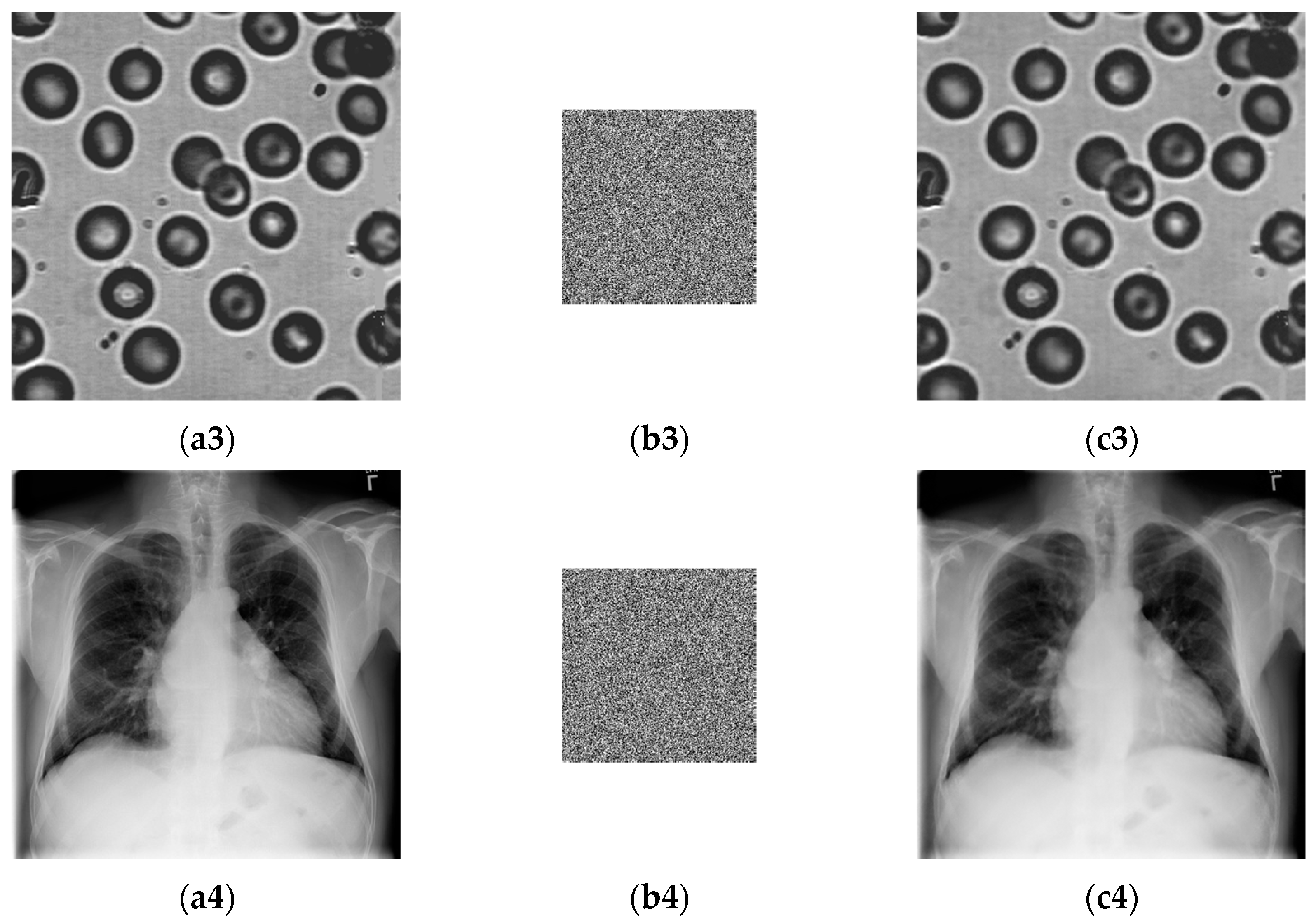 Entropy 24 00273 g005b